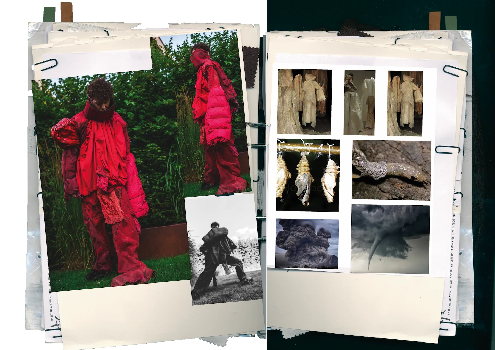 Molting Cocoon — spread 1